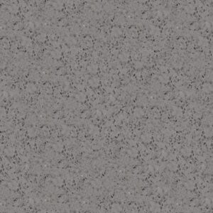 Star Grey Quartz
