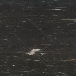 Cygnus Black Granite